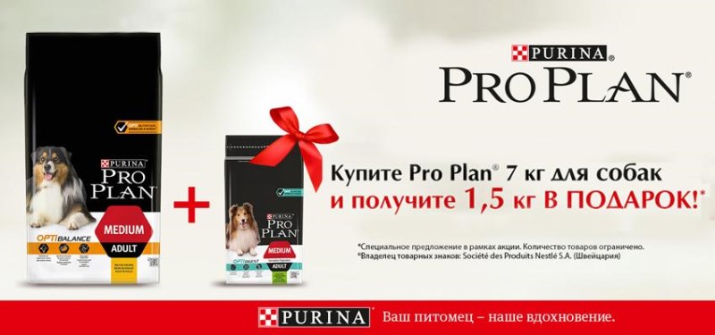 Pro Plan   7  + 1,5    