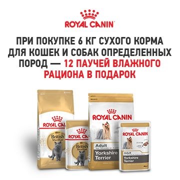 6+12    Royal Canin   
