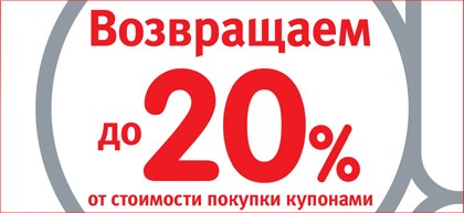   20%    